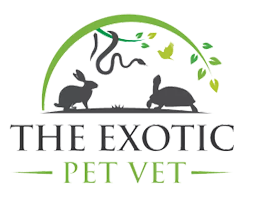 The Exotic Pet